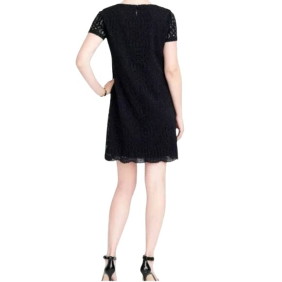 J. Crew Short Sleeve Black Lace Shift Dress Scalloped Hem LBD Size 6 - Picture 3 of 7